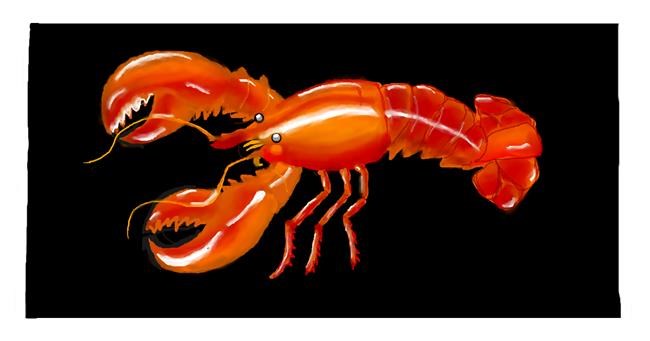 Drawing of Lobster by DebbyLee