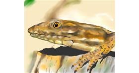 Drawing of Lizard by .
