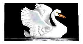 Drawing of Swan by Debidolittle