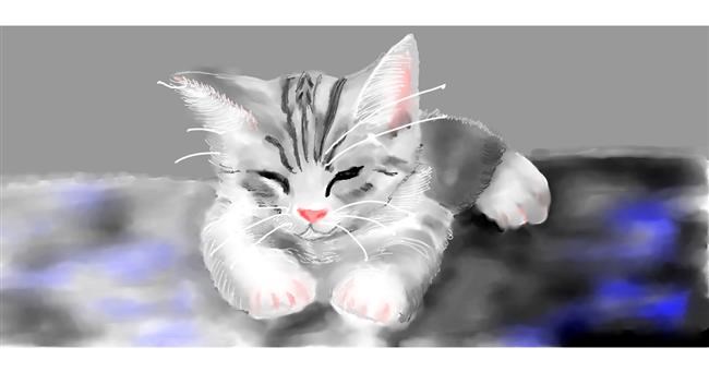 Katze-Zeichnung von Kim