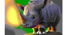 Drawing of rhino by Herbert