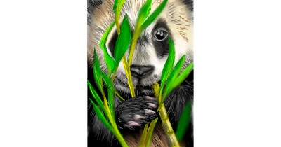 bamboo