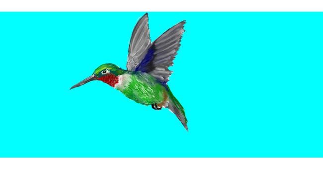 Drawing of Hummingbird by Kim