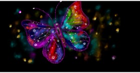 Drawing of Butterfly by Eclat de Lune