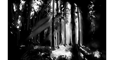 forest