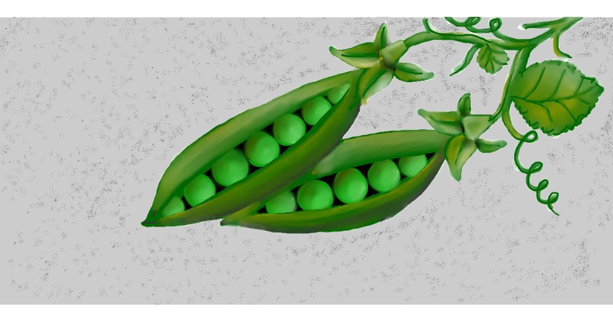Drawing of Peas by Sunzee Drawize Gallery!
