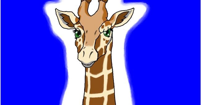 Drawing of Giraffe by InessA