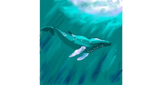 Drawing of Whale by TedsNan