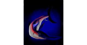 Drawing of Swordfish by Lovecatx🏴󠁧󠁢󠁳󠁣󠁴󠁿