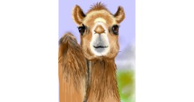 Drawing of Camel by ⋆su⋆vinci彡