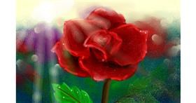 Drawing of Rose by Wendy :)