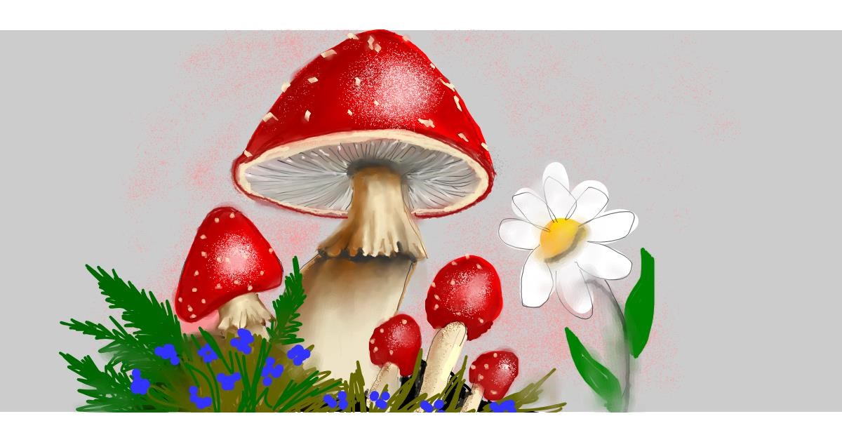 Full Size Drawing