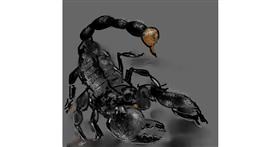 Drawing of Scorpion by Eclat de Lune