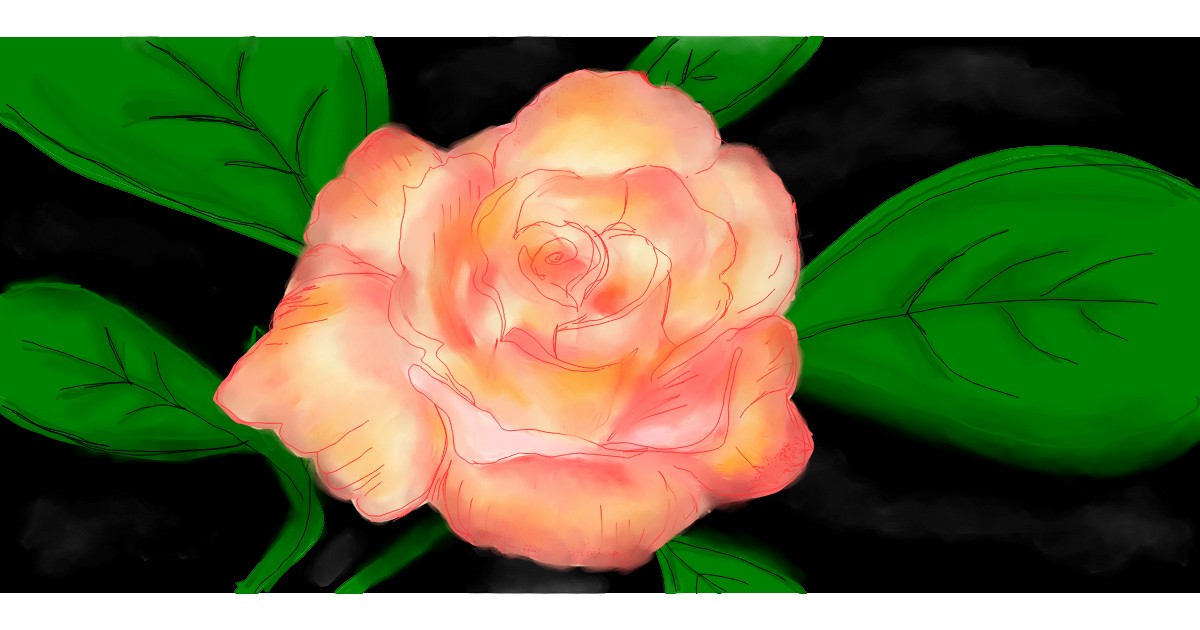 Full Size Drawing