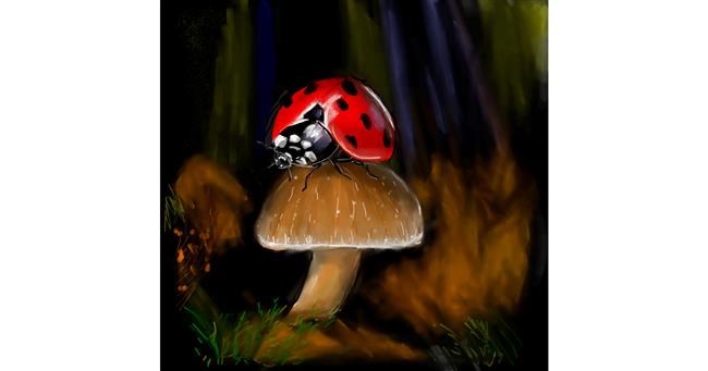 Drawing of Ladybug by camay