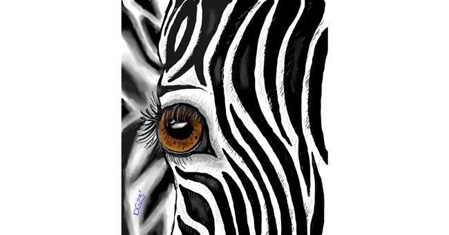 Zebra-Zeichnung von GreyhoundMama