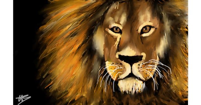 Drawing of Lion by Mila