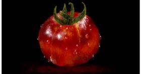 Drawing of Tomato by Eclat de Lune