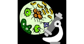 Drawing of Bacteria by Neha