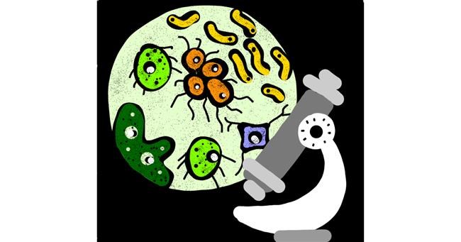 Drawing of Bacteria by Neha