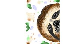 Drawing of Sloth by Didine