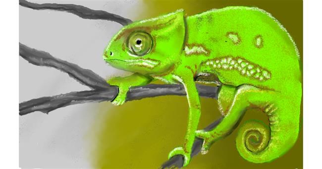 Drawing of Chameleon by Tim