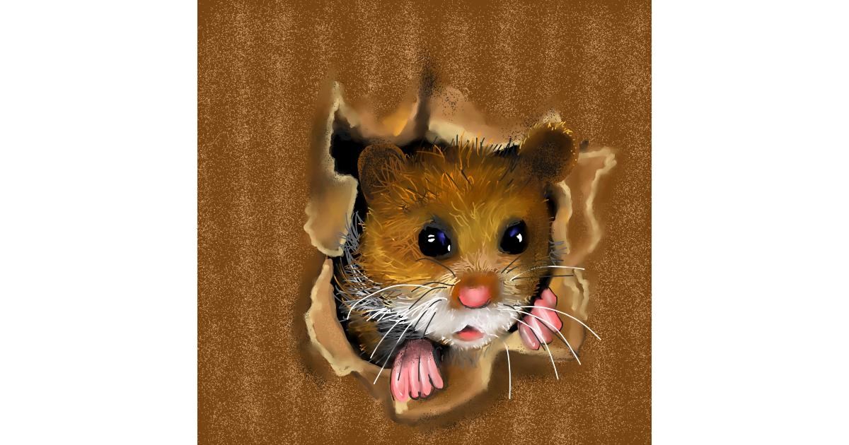 Drawing of Hamster by Leah