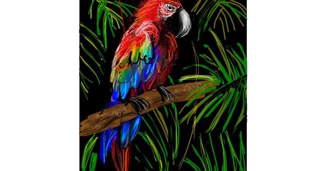 Drawing of Parrot by KayXXXlee