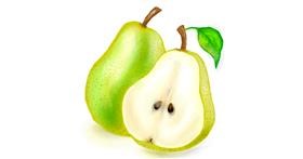Drawing of Pear by Vinci