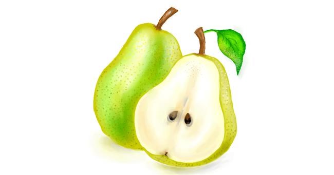 Drawing of Pear by ⋆su⋆vinci彡