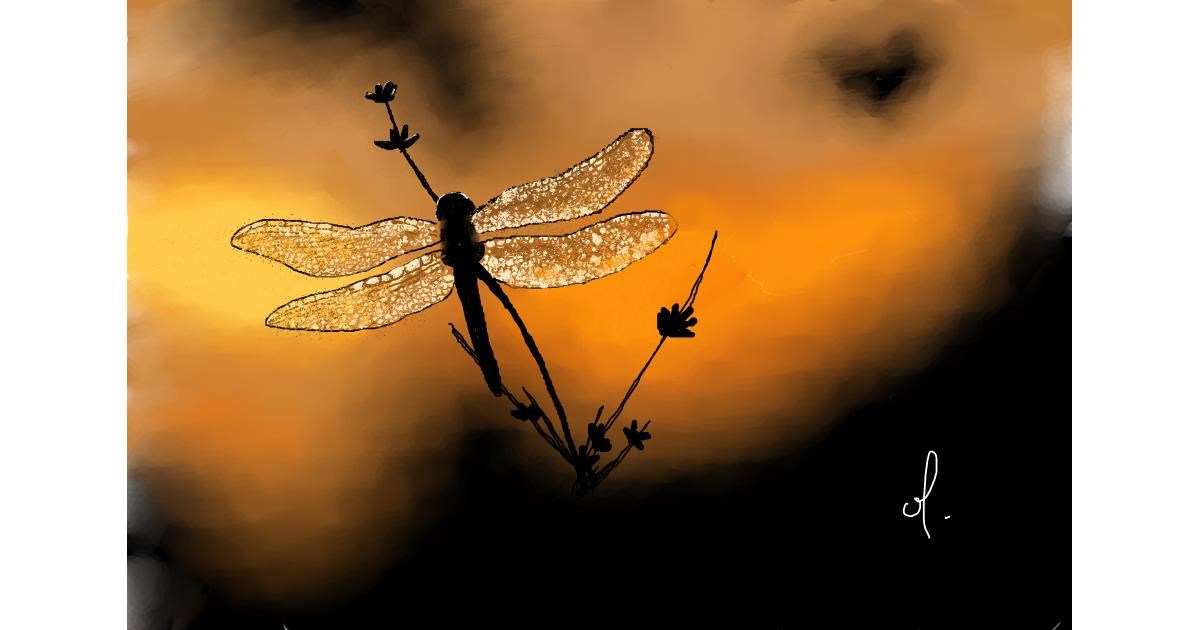 Drawing of Dragonfly by OLGI 🌺