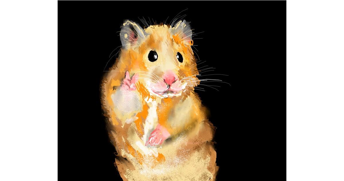 Drawing of Hamster by Una persona