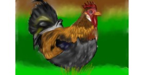 Drawing of Chicken by Jan