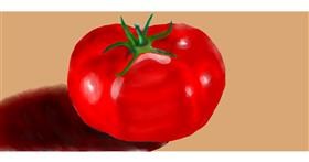 Drawing of Tomato by Kim