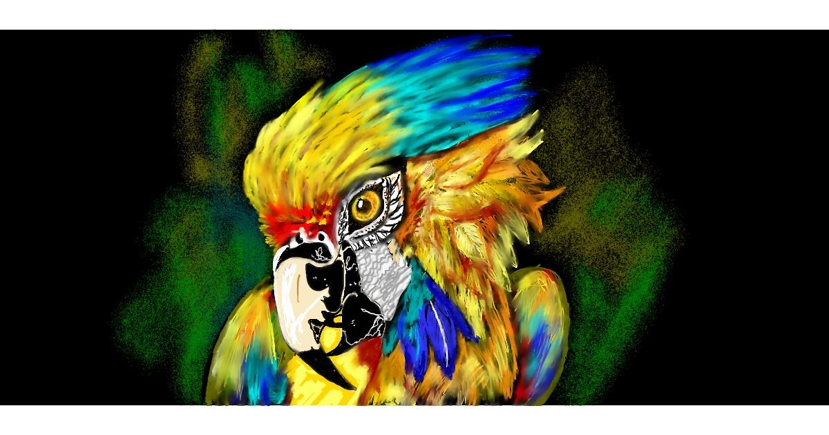 Full Size Drawing