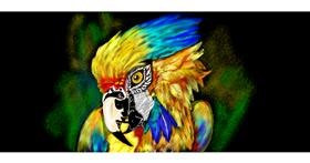 Drawing of Parrot by Çhåching