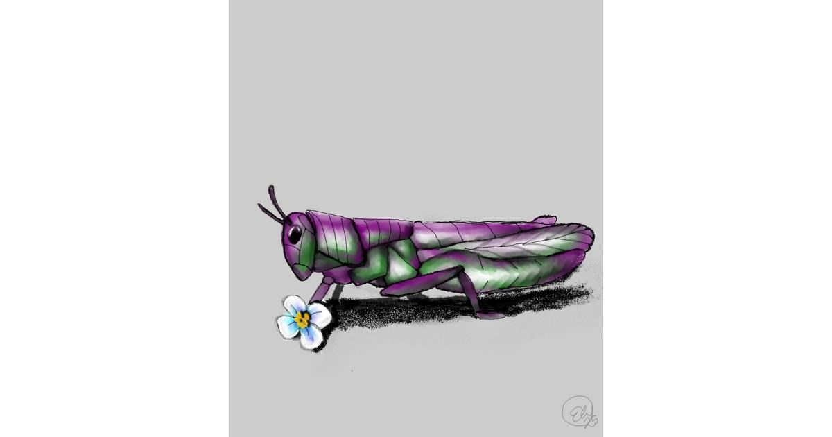 Full Size Drawing
