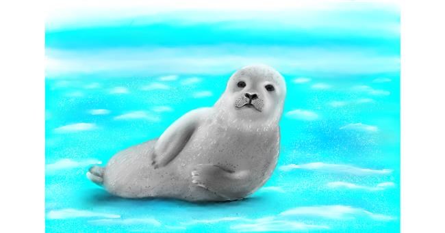 Drawing of Seal by Wizard