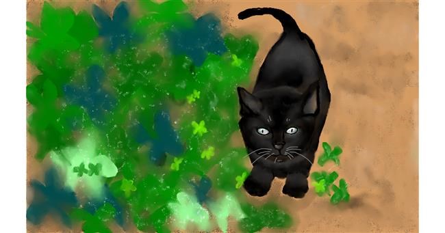 Drawing of Kitten by Tim