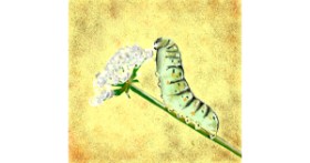 Drawing of Caterpillar by LoonyLG✨️