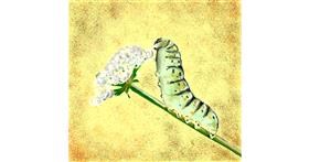Drawing of Caterpillar by LoonyLG✨️