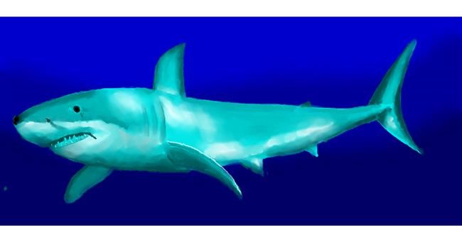 Drawing of Shark by Pinky