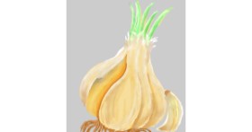 Drawing of Garlic by GreyhoundMama
