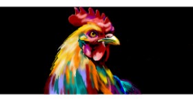 Drawing of Rooster by Annie