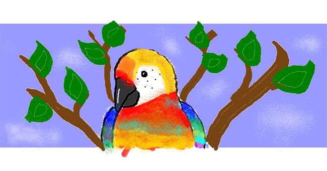 Drawing of Parrot by Caitlyn