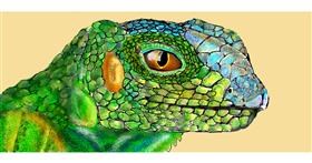Drawing of Lizard by Kim