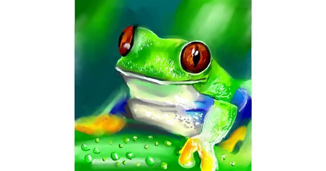 Drawing of Frog by ⋆su⋆vinci彡