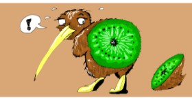 Drawing of Kiwi fruit by jule
