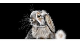 Zec - autor: Chaching