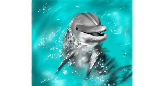 Drawing of Dolphin by RadiouChka